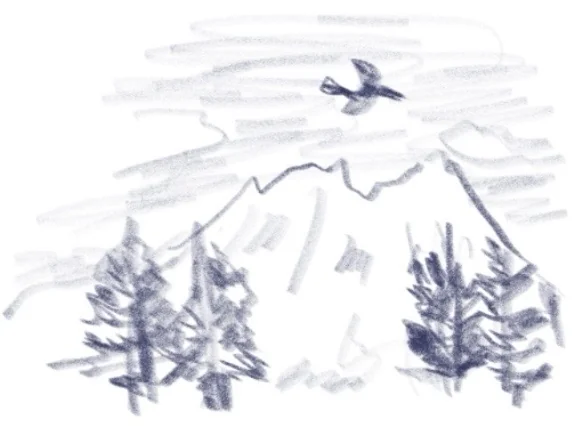 針葉樹の森の向こうにそびえる山と、空を飛ぶ鳥を描いた絵。